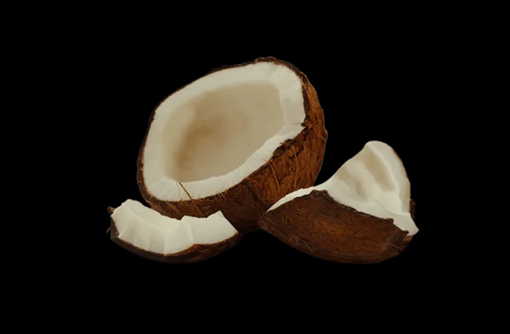 Coconut
