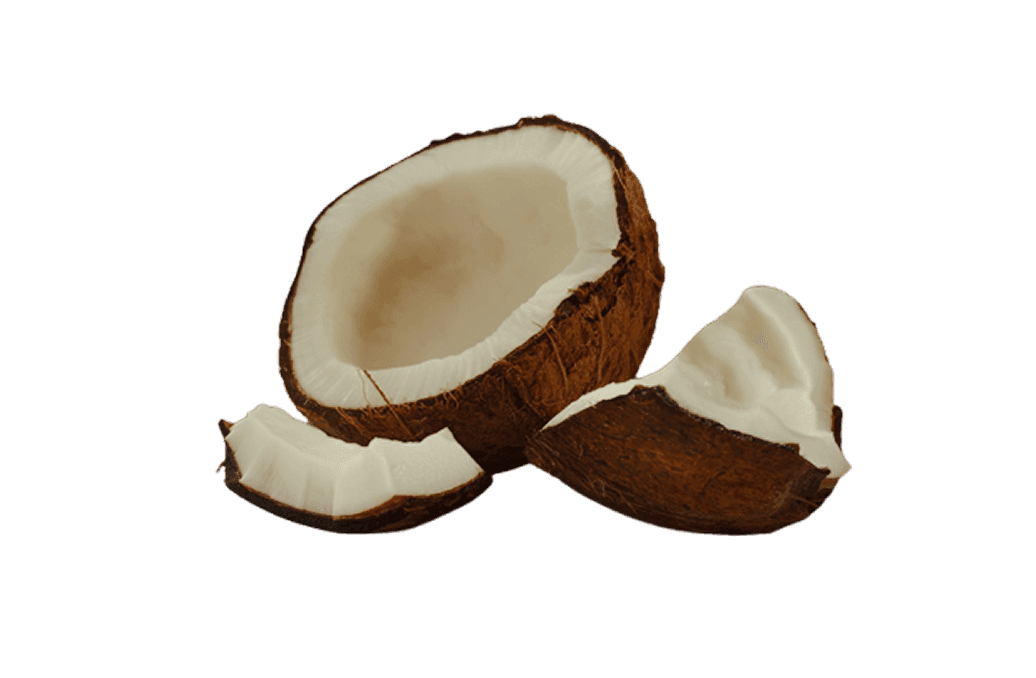 Coconut